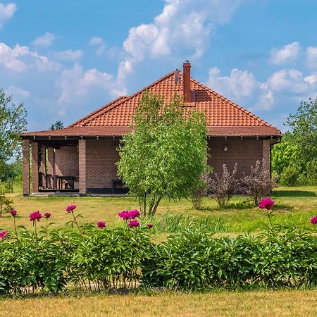 Villa Prie Traku Petkeniskes Exterior foto